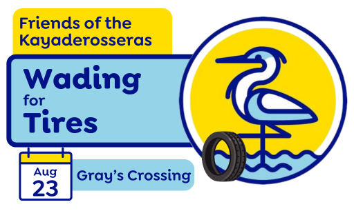 Wading for Tires (2)